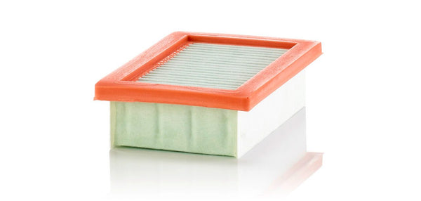 Mann Filter C 22 033/1